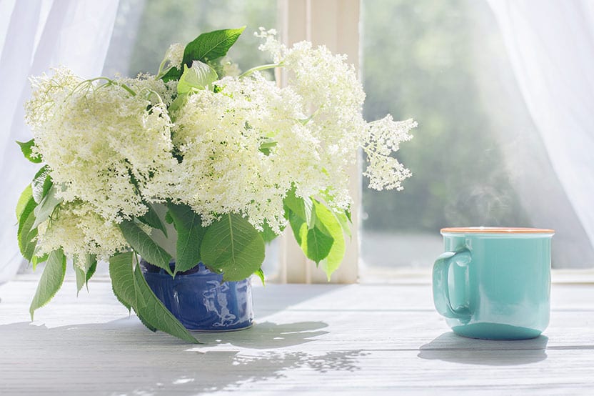 coffee and flowers on a clear spring morning
