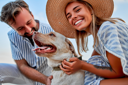 Happy couple playing with a yellow lab.