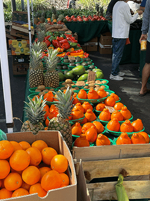 Captiva Island farmer's market