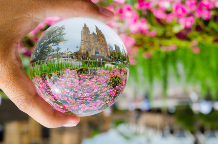 Beautiful pink flowers field at st. Mary’s cathedral sydney photography in clear crystal glass ball.